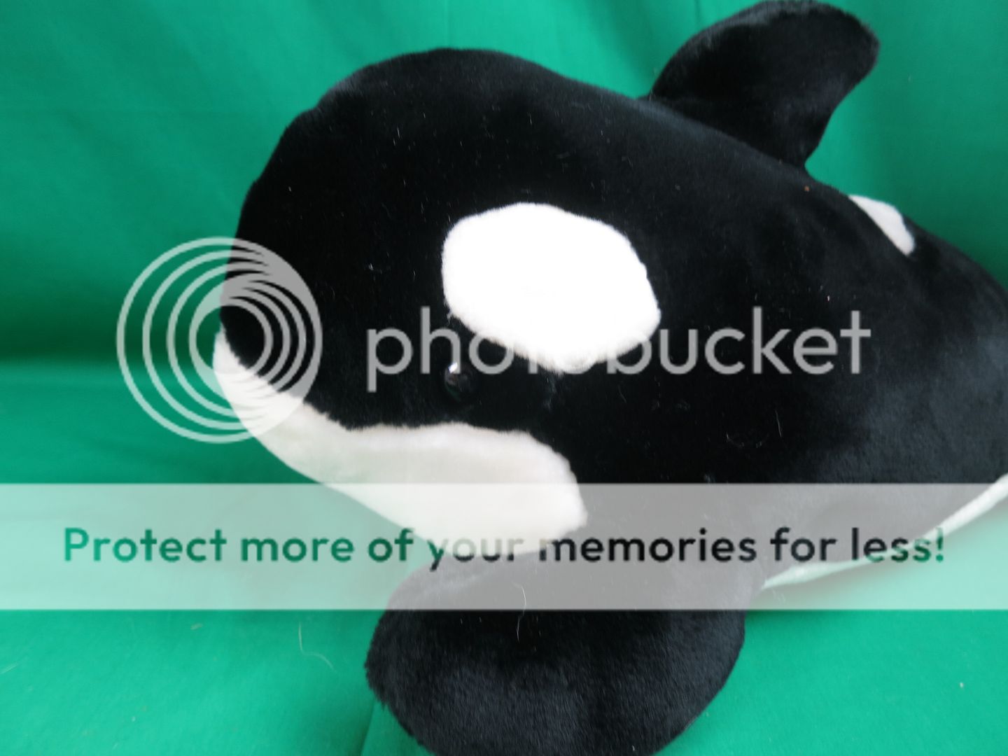 jumbo orca plush